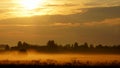 Summer misty morning,Russian backwoods Royalty Free Stock Photo