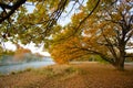 Summer misty sunrise on meadow. Country road on green fields riverbank. Royalty Free Stock Photo