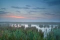 Summer misty sunrise over bog Royalty Free Stock Photo