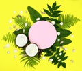 Summer mockup composition, coconut and tropical leaves