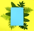 Summer mockup composition, coconut and tropical leaves on a yellow background
