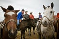 Nadaam horse races in Mongolia Royalty Free Stock Photo