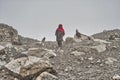 During the summer + 6 months women and children climb the Upper Shimshal 5600m to raise animals sheep, goats and yaks