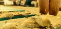 Summer mood, with sea shells over the banch Royalty Free Stock Photo