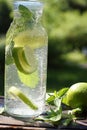 Summer mood with homemade mojito cocktail in a transparent bottle with mint and lime