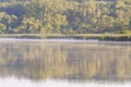 Summer Morning on the Lake with Mist Rising Above Water with High Grass Royalty Free Stock Photo