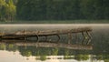 Summer morning landscape on the lake, tree branch over the water surface and light fog, beautiful clouds and wonderful reflections Royalty Free Stock Photo