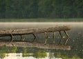 Summer morning landscape on the lake, tree branch over the water surface and light fog, beautiful clouds and wonderful reflections Royalty Free Stock Photo