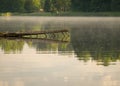 Summer morning landscape on the lake, tree branch over the water surface and light fog, beautiful clouds and wonderful reflections Royalty Free Stock Photo