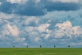 Summer morning landscape on an overcast day at the fields. Cloudy weather background concept. Fresh nature backdrop with copy Royalty Free Stock Photo