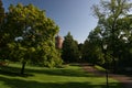 Summer morning in park