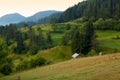 Summer morning in the Rhodope mountain Royalty Free Stock Photo