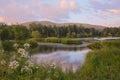 Summer morning on the river. Landscape with a river, a gentle blue morning sky, lush grass and white flowers. Royalty Free Stock Photo