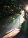 Summer morning sun rays on a road Royalty Free Stock Photo