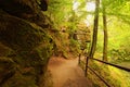 Summer morning view. Narrow and winding hiking trail near flowing Kamenice river in green forest