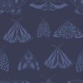 Summer moth seamless pattern.