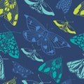 Summer moth seamless pattern.