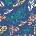 Summer moth seamless pattern.