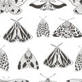 Summer moth seamless vector pattern.