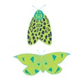 Summer moth vector set