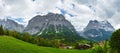 Summer mountain country panorama (Switzerland). Royalty Free Stock Photo
