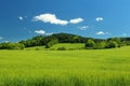 Summer mountain landscape Royalty Free Stock Photo