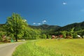 Summer mountain landscape