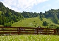 Summer mountain landscape