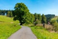 Summer mountain landscape with blue sky, Road through a meadow - Moravian-Silesian Beskydy, Grun, Czechia