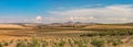 Summer mountain landscape with a grove of young olive trees Royalty Free Stock Photo