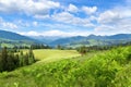 Summer mountain landscape, lush green meadow and spruce forest under blue sky. Ukraine. Royalty Free Stock Photo