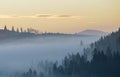 Summer mountain landscape. Morning fog over blue mountain hills covered with dense misty spruce forest on bright pink sky at Royalty Free Stock Photo