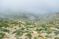 Summer mountain landscape. The sea is seen through the fog. Royalty Free Stock Photo