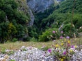 Narrow gorge summer view, Nevidio Canyon, Montenegro