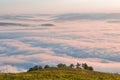 Summer mountain landscape with the sea fog and trees in the fore Royalty Free Stock Photo