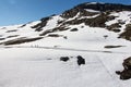 Trolltunga trail Royalty Free Stock Photo