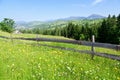 Summer mountain landscape, wooden fence across a flower meadow , mountain homyak on the horizon. Royalty Free Stock Photo