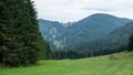 Summer mountain meadow on hillside of hill in Low Tatras mountains at Slovakia Royalty Free Stock Photo