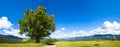 Summer mountain panorama. Royalty Free Stock Photo