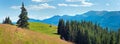 Summer mountain panorama (Carpathian, Ukraine) Royalty Free Stock Photo