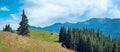 Summer mountain panorama (Carpathian, Ukraine Royalty Free Stock Photo
