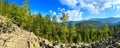 Summer mountain panorama Carpathian, Ukraine. Royalty Free Stock Photo