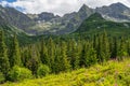 Summer mountain panorama from Hala Gasienicowa Royalty Free Stock Photo