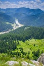 Summer mountain scene in Romanian Carpathians