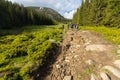 Summer mountain trail for hiking in in the highest ukrainian ridge Marmarosy Royalty Free Stock Photo