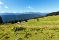 Summer mountain view Carpathian, Ukraine. Royalty Free Stock Photo
