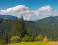 Summer mountainous green meadow with stack of hay Carpathian Mts, Ukraine