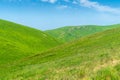 Summer mountainous landscape Carpat in Ukraine. Dragobrat ski resort