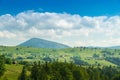 Summer mountainous rural landscape view with a old house and spruce Carpathian Ukraine