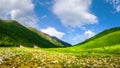 Summer mountains. Alpine green valley. Mountain nature landscape with grassy meadow. Sunny day in mountains. Scenic hills Royalty Free Stock Photo